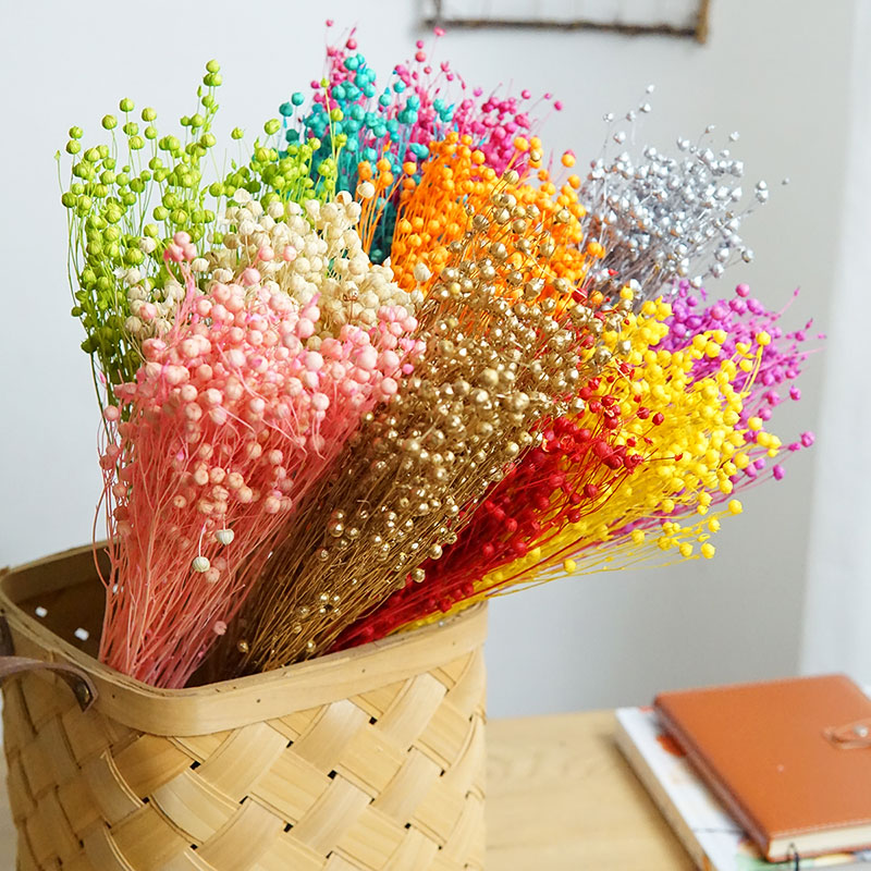 Dried Flower Bulk - 35g/Zachowane naturalne kwiaty Ormosia Hosiei, kolorowe