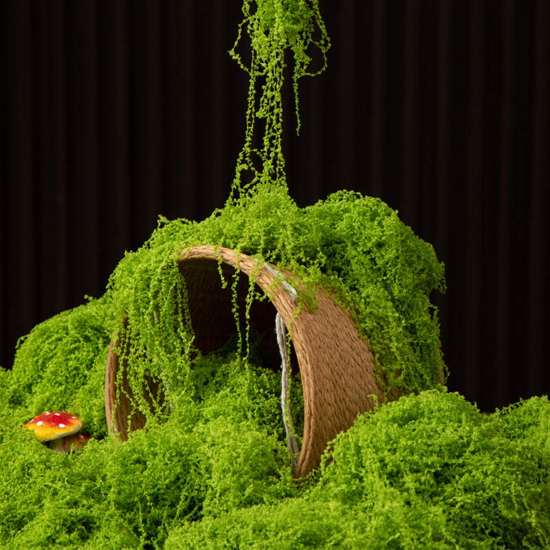 Terrarium Moss Art - 200g Mech Wiecznego Życia DIY Rękodzieło