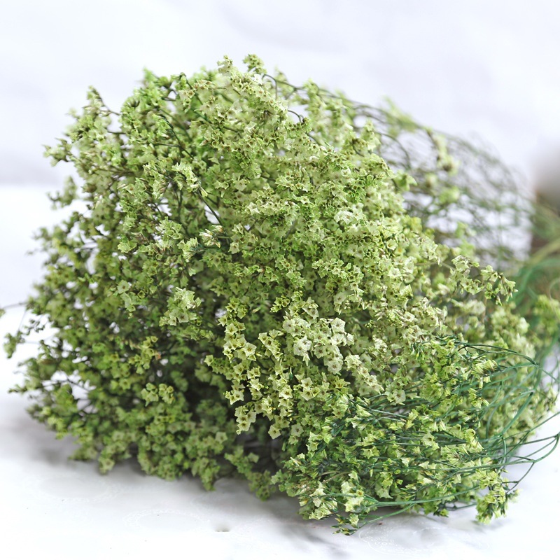 Dried Flower Bulk - Naturalne świeże suszone zakonserwowane kwiaty Crystal