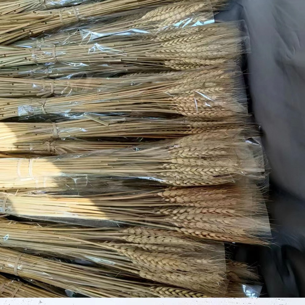 50 szt. Sztuczne kwiaty, natur – Dried Flower Bulk recenzja i cena