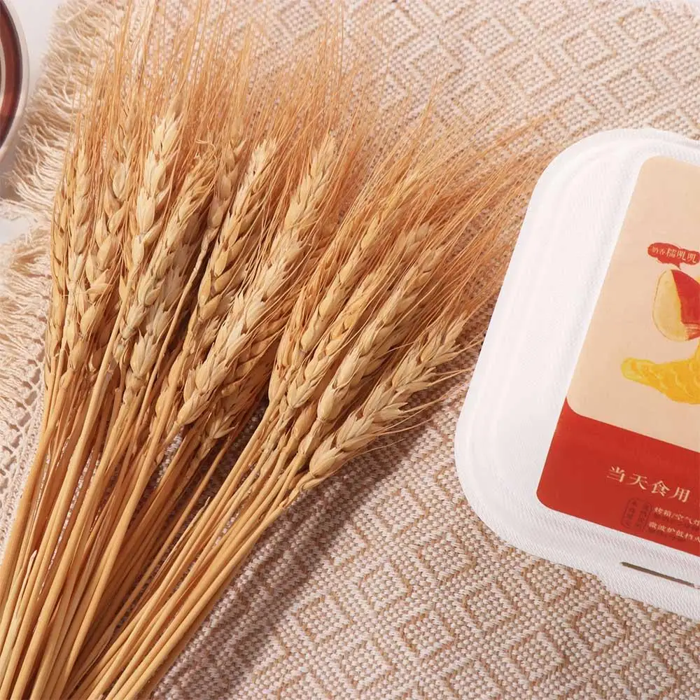 50 szt. Sztuczne kwiaty, natur – Dried Flower Bulk recenzja i cena