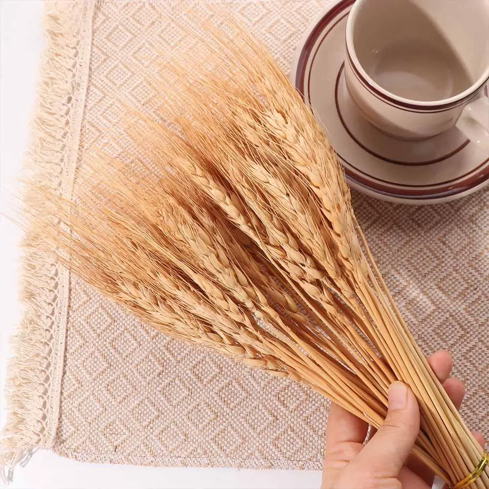 50 szt. Sztuczne kwiaty, natur – Dried Flower Bulk recenzja i cena