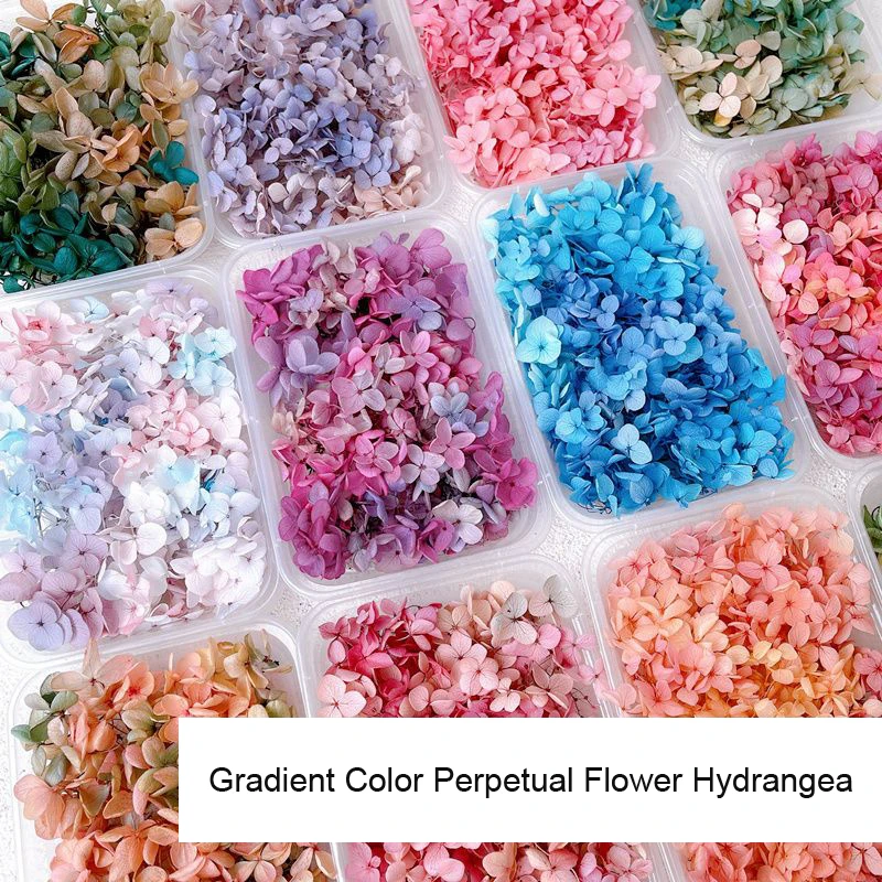 1 pudełko prawdziwe suszone kw – Dried Flower Bulk recenzja i cena