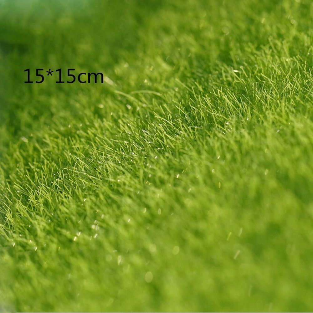 Ekologiczna dekoracja trawnika – Terrarium Moss Art recenzja i cena