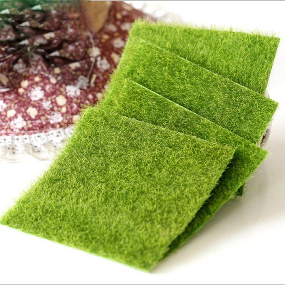 Ekologiczna dekoracja trawnika – Terrarium Moss Art recenzja i cena