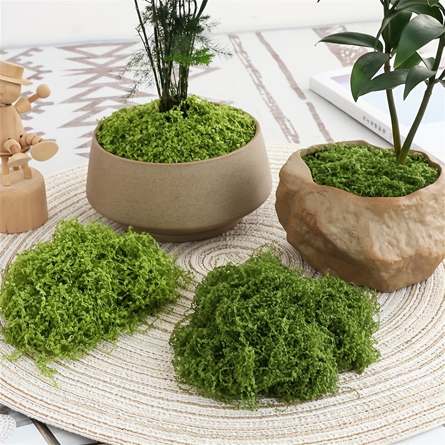 1 paczka sztuczny sztuczny mec – Terrarium Moss Art recenzja i cena