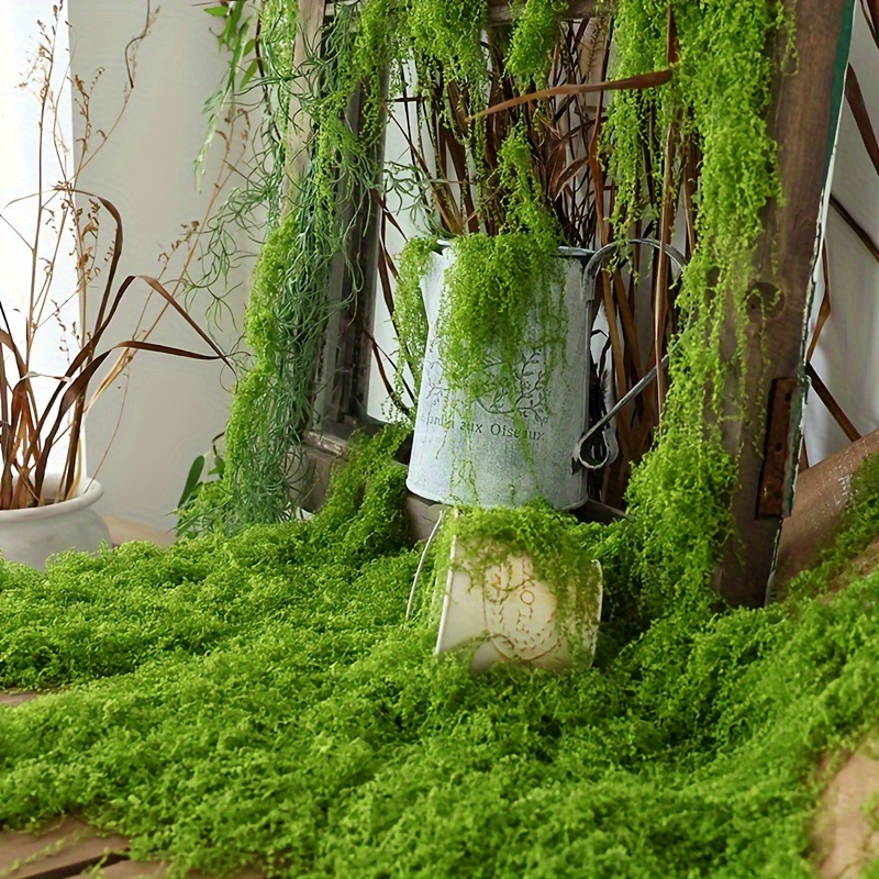 1 paczka sztuczny sztuczny mec – Terrarium Moss Art recenzja i cena