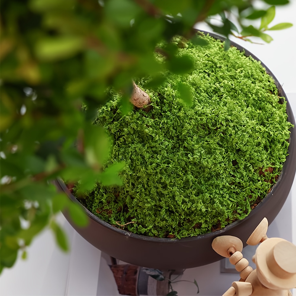 1 paczka sztuczny sztuczny mec – Terrarium Moss Art recenzja i cena