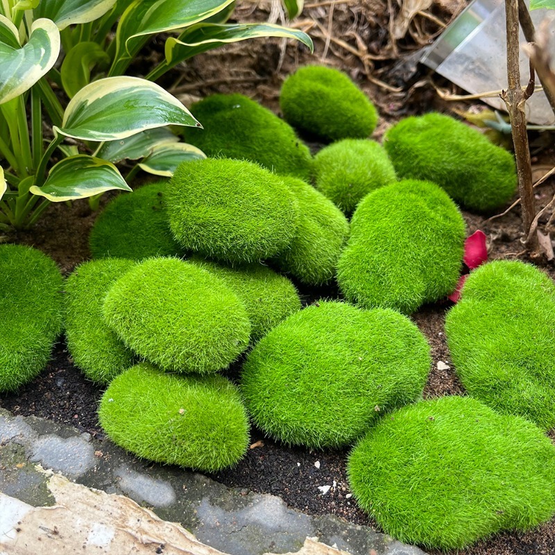 5/30 szt. Symulowane kamienie  – Terrarium Moss Art recenzja i cena