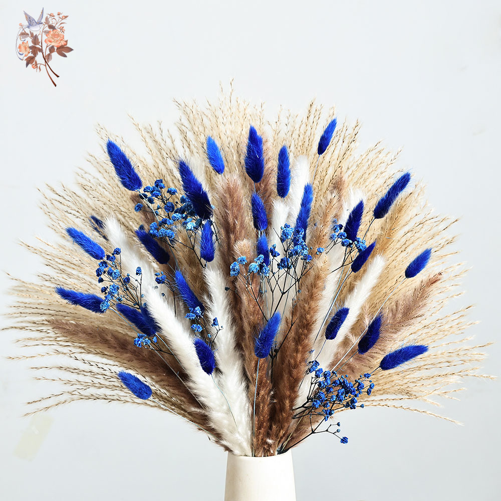 70 Gałązek Niebieskiego Puszys – Dried Flower Bulk recenzja i cena