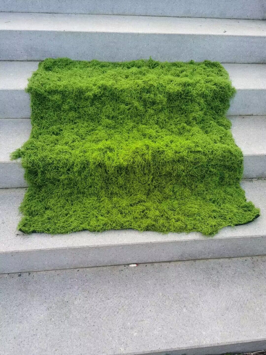 Aqumotic sztuczna murawa imita – Terrarium Moss Art recenzja i cena