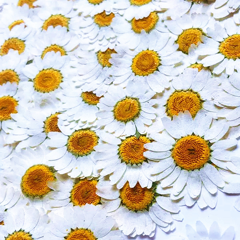 100 szt. Naturalne Białe Krysz – Resin Craft Ideas recenzja i cena