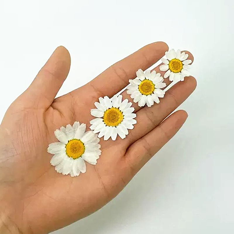 100 szt. Naturalne Białe Krysz – Resin Craft Ideas recenzja i cena