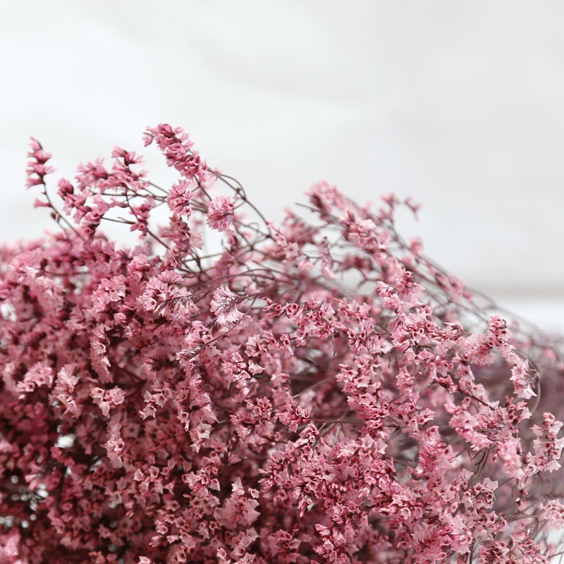 Naturalne świeże suszone zakon – Dried Flower Bulk recenzja i cena