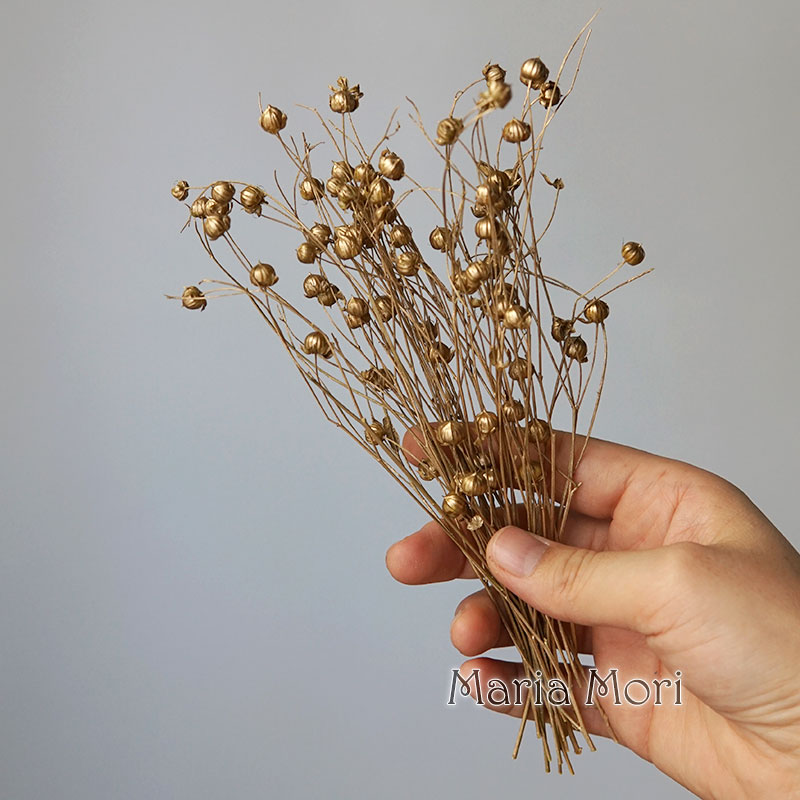 5g Konserwowane Fasola Lniana  – Dried Flower Bulk recenzja i cena