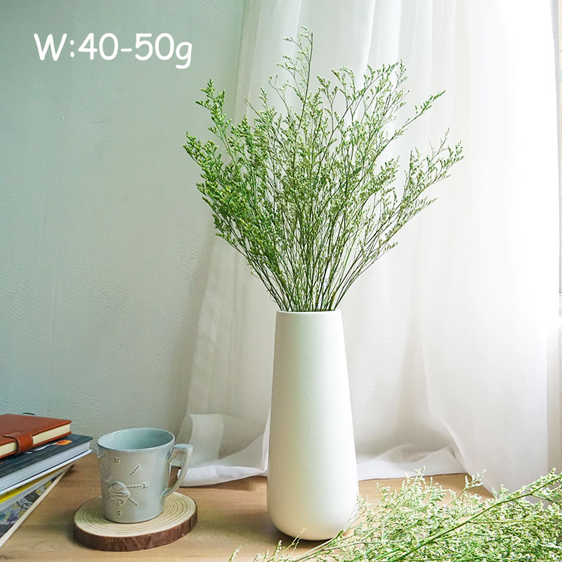 50g/Trwała trawa walentynkowa  – Dried Flower Bulk recenzja i cena