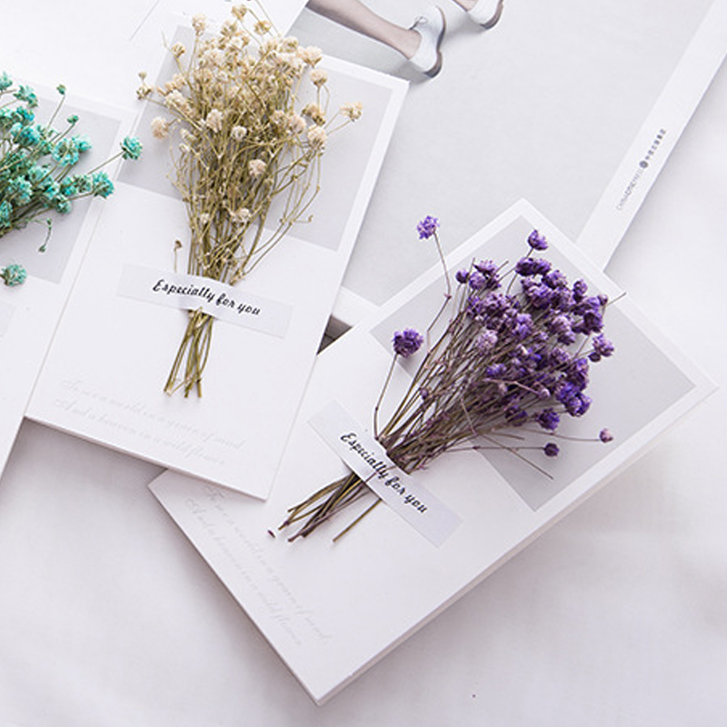 10 sztuk karta podarunkowa zap – Dried Flower Bulk recenzja i cena
