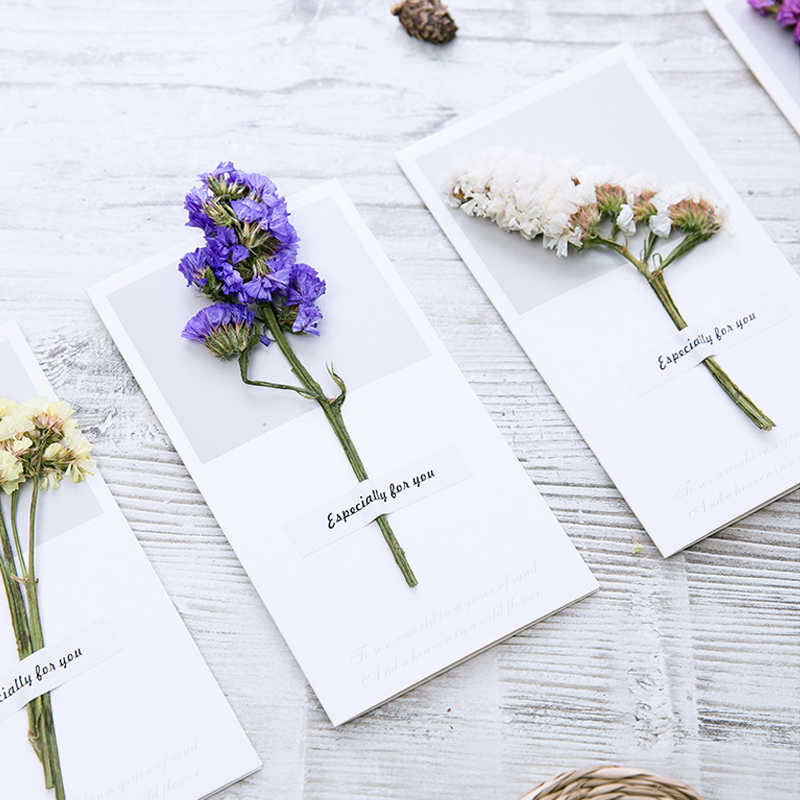 10 sztuk karta podarunkowa zap – Dried Flower Bulk recenzja i cena