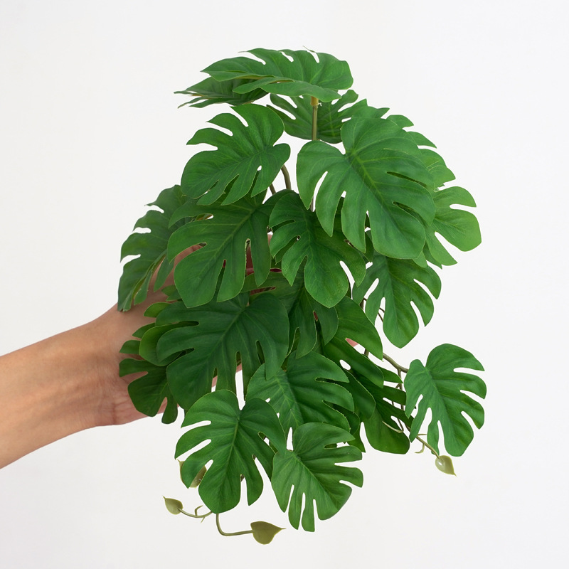 Rośliny dla terrariów dla gadó – Terrarium Moss Art recenzja i cena