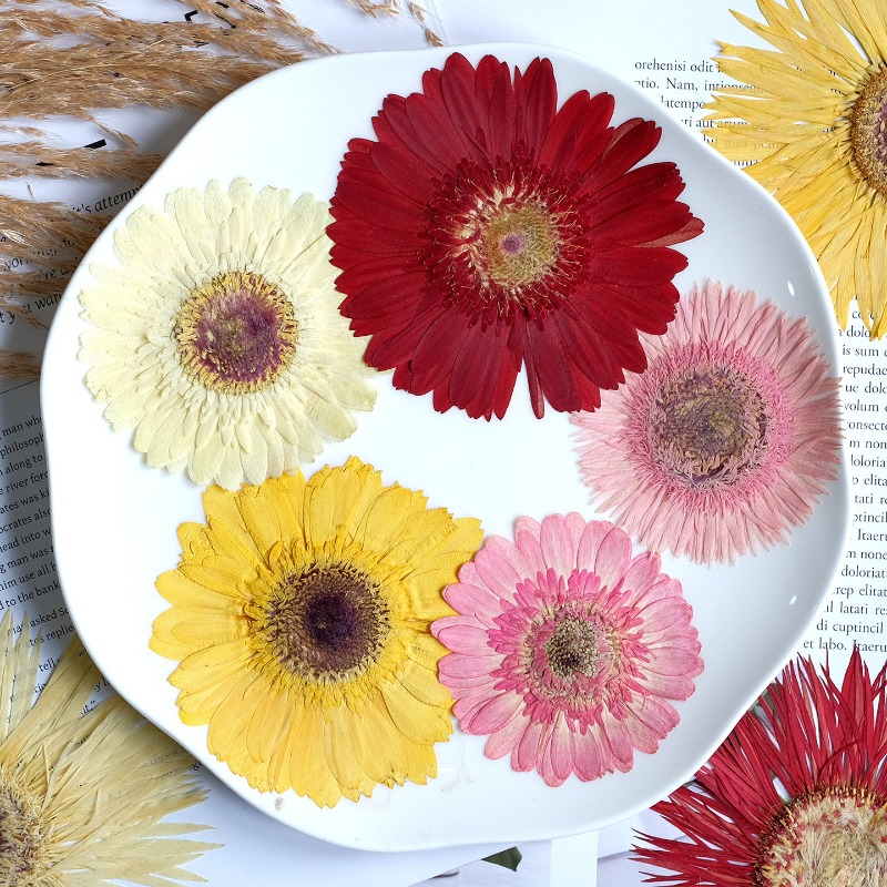 1 szt./7-9 cm, Suszone kwiaty  – Resin Craft Ideas recenzja i cena