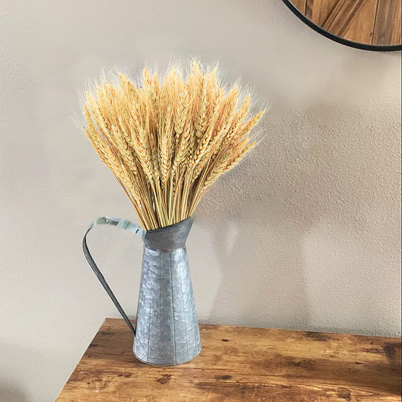 50/100/200 szt. Suszone łodygi – Dried Flower Bulk recenzja i cena