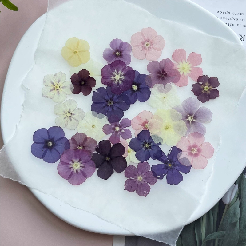 12 szt., Półprzezroczyste, nis – Resin Craft Ideas recenzja i cena