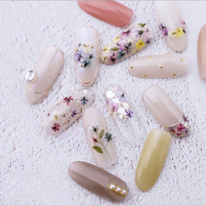Mieszane małe suszone kwiaty N – Dried Flower Bulk recenzja i cena