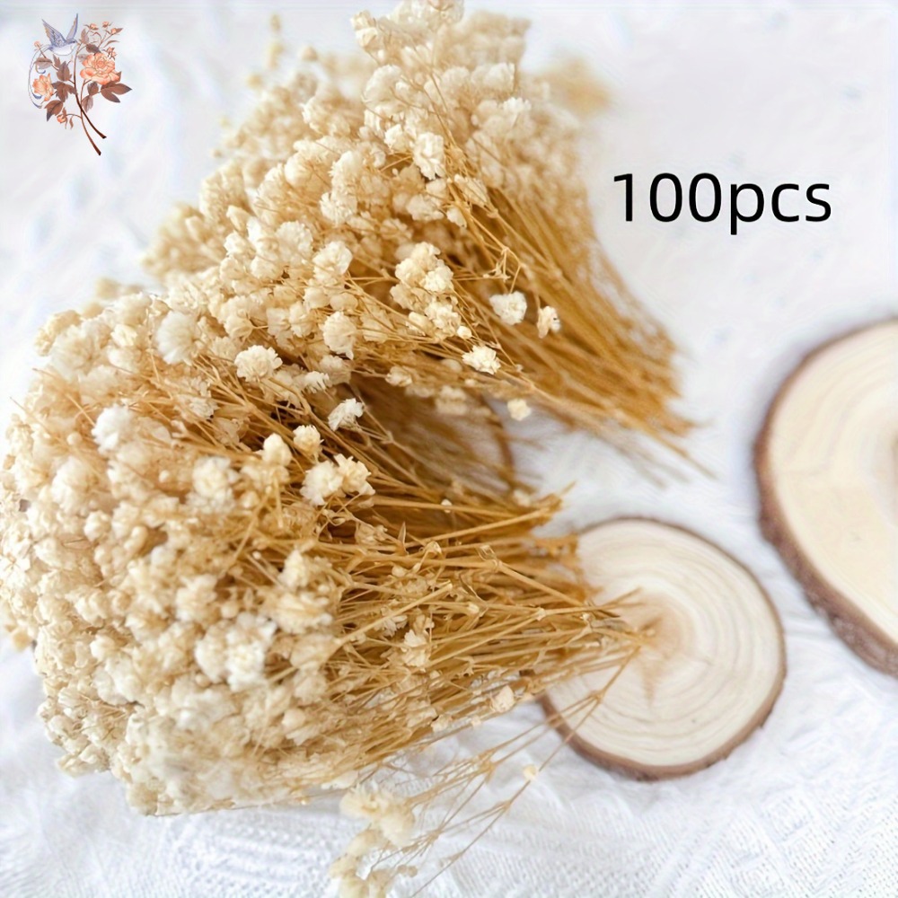 100 szt. Mini Suszone Kwiaty G – Dried Flower Bulk recenzja i cena
